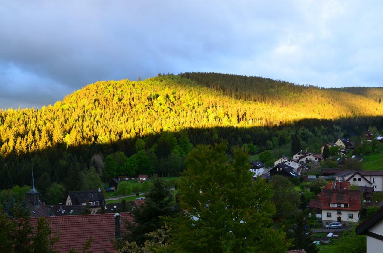 Ferienwohnung Am Kurpark Bad Wildbad Extérieur photo