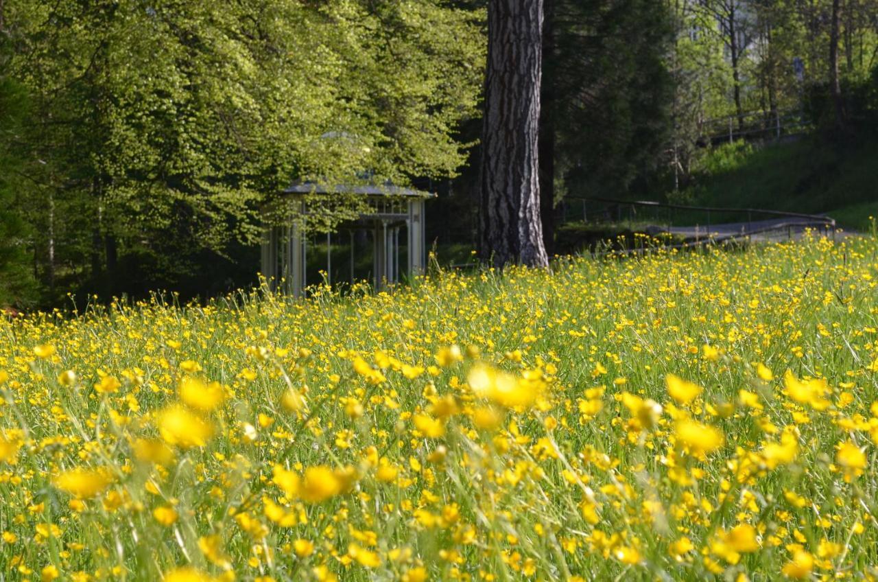 Ferienwohnung Am Kurpark Bad Wildbad Extérieur photo